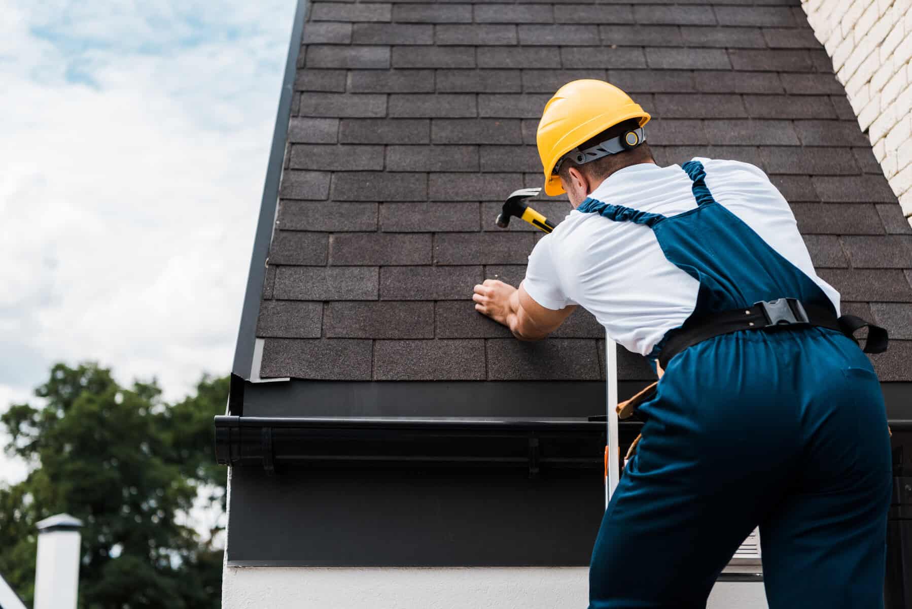 What Are the Signs You Need Professional Roof Repair?
