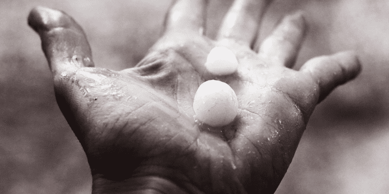 image 2022 11 24 224350570