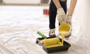 How to Choose a Professional Painter