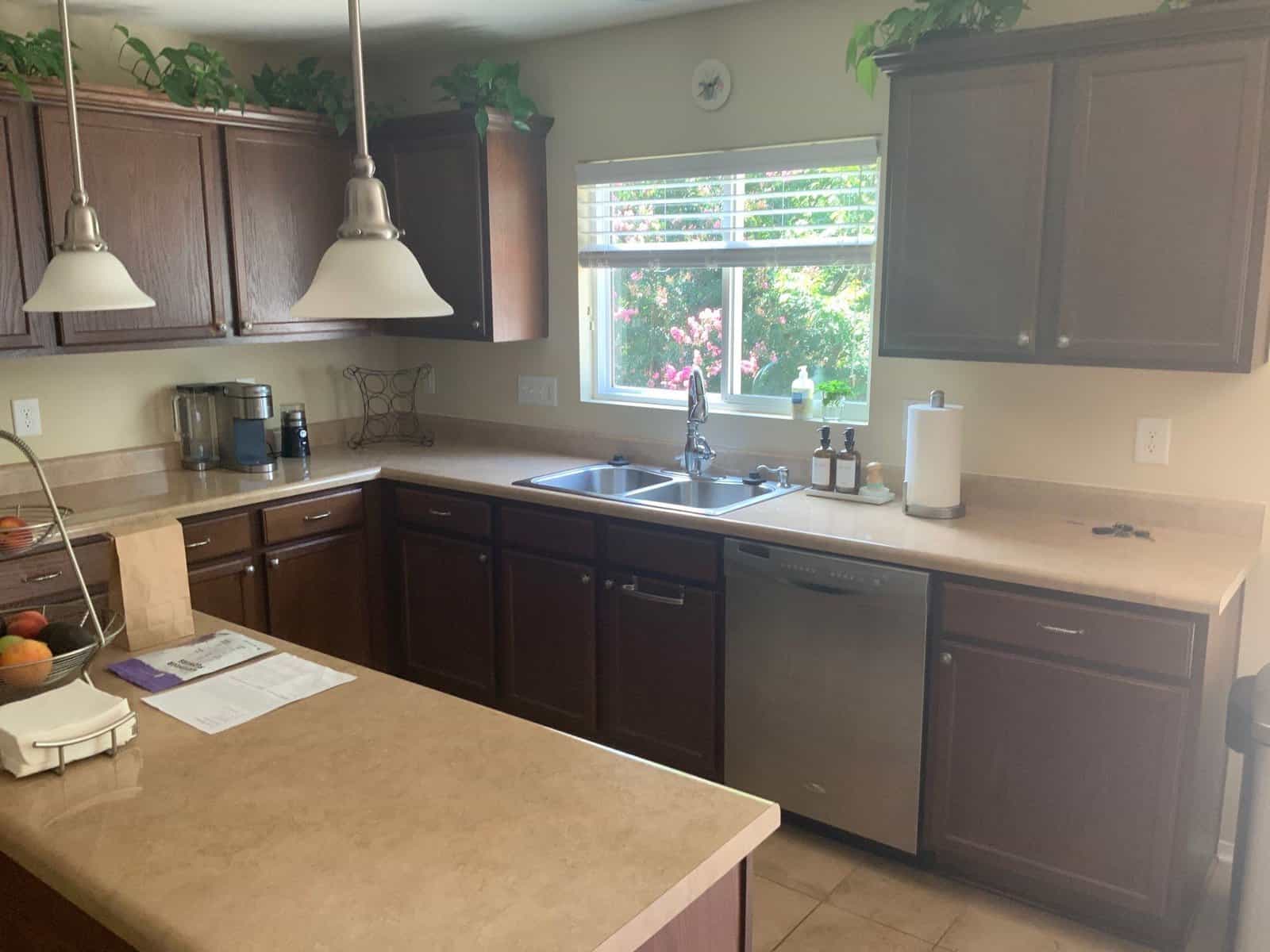 Paint My Kitchen Cabinets