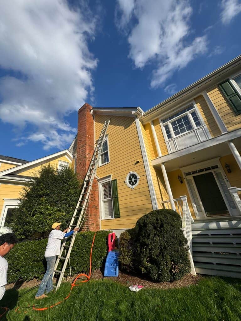 Gonzalez Professional Painters